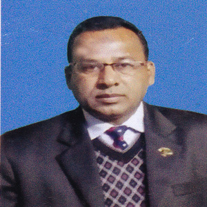 S. M Rajibul Karim, Vice-Prinipale